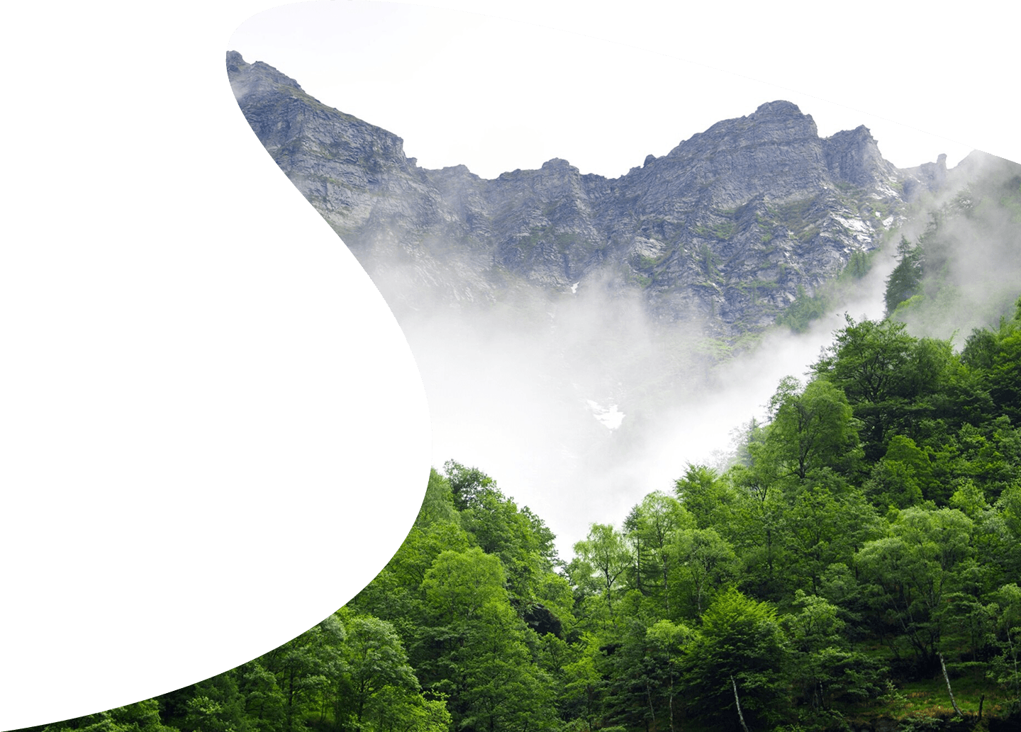 home screen background